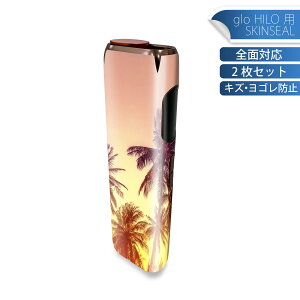 glo HILO ��p �f�U�C���X�L���V�[�� �S�� 2���Z�b�g�t���Z�b�g �J�o�[ �P�[�X �ی� �O���[ �O���E �X�e�b�J�[ �f�R �A�N�Z�T���[ �X�e�b�J�[ �ی�V�[�� ���i���Ĕ������V�[�g 011302 �ā@���V