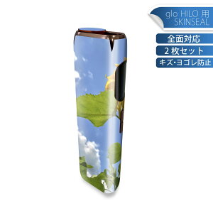 glo HILO ��p �f�U�C���X�L���V�[�� �S�� 2���Z�b�g�t���Z�b�g �J�o�[ �P�[�X �ی� �O���[ �O���E �X�e�b�J�[ �f�R �A�N�Z�T���[ �X�e�b�J�[ �ی�V�[�� ���i���Ĕ������V�[�g 011366 �ԁ@�Ђ�