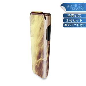 glo HILO 専用 デザインスキンシール 全面 2枚セットフルセット カバー ケース 保護 グロー グロウ ステッカー デコ アクセサリー ステッカー 保護シール 高品質再剥離性シート 011489 おしゃれ