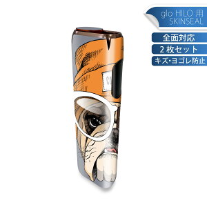 glo HILO ��p �f�U�C���X�L���V�[�� �S�� 2���Z�b�g�t���Z�b�g �J�o�[ �P�[�X �ی� �O���[ �O���E �X�e�b�J�[ �f�R �A�N�Z�T���[ �X�e�b�J�[ �ی�V�[�� ���i���Ĕ������V�[�g 011757 ���@�X�q