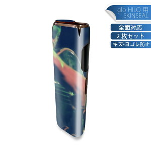 glo HILO p fUCXLV[ S 2ZbgtZbg Jo[ P[X ی O[ OE XebJ[ fR ANZT[ XebJ[ یV[ iĔV[g 012493 M^[@