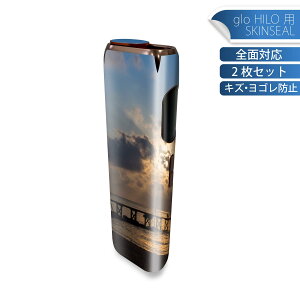 glo HILO ��p �f�U�C���X�L���V�[�� �S�� 2���Z�b�g�t���Z�b�g �J�o�[ �P�[�X �ی� �O���[ �O���E �X�e�b�J�[ �f�R �A�N�Z�T���[ �X�e�b�J�[ �ی�V�[�� ���i���Ĕ������V�[�g 013534 �ʐ^�@�C