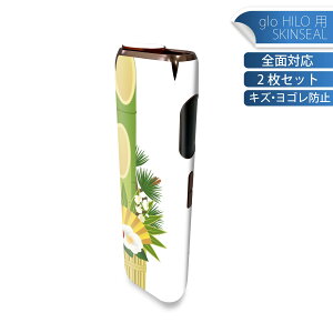 glo HILO p fUCXLV[ S 2ZbgtZbg Jo[ P[X ی O[ OE XebJ[ fR ANZT[ XebJ[ یV[ iĔV[g 013570 @