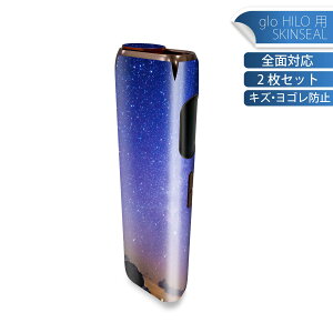 glo HILO ��p �f�U�C���X�L���V�[�� �S�� 2���Z�b�g�t���Z�b�g �J�o�[ �P�[�X �ی� �O���[ �O���E �X�e�b�J�[ �f�R �A�N�Z�T���[ �X�e�b�J�[ �ی�V�[�� ���i���Ĕ������V�[�g 016174 ����@��