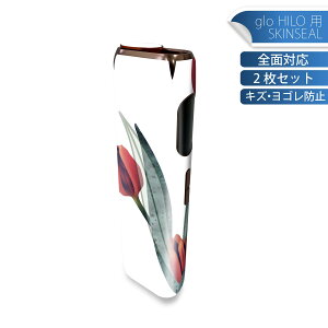 glo HILO ��p �f�U�C���X�L���V�[�� �S�� 2���Z�b�g�t���Z�b�g �J�o�[ �P�[�X �ی� �O���[ �O���E �X�e�b�J�[ �f�R �A�N�Z�T���[ �X�e�b�J�[ �ی�V�[�� ���i���Ĕ������V�[�g 016287 �`���[��