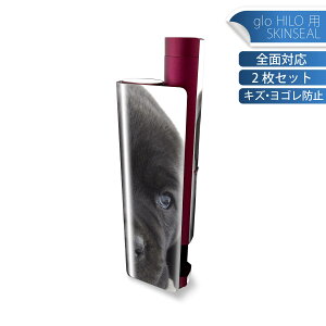 glo HILO plus p fUCXLV[ S 2ZbgtZbg Jo[ P[X ی XebJ[ fR ANZT[ XebJ[ یV[ iĔV[g 000127   t`uh