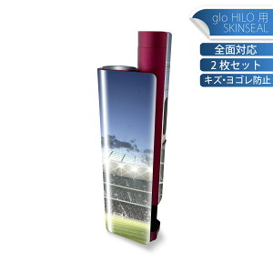 glo HILO plus ��p �f�U�C���X�L���V�[�� �S�� 2���Z�b�g�t���Z�b�g �J�o�[ �P�[�X �ی� �X�e�b�J�[ �f�R �A�N�Z�T���[ �X�e�b�J�[ �ی�V�[�� ���i���Ĕ������V�[�g 001615 �t�B�[���h�@�X�^�W