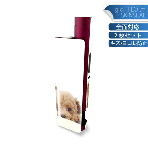 glo HILO plus ��p �f�U�C���X�L���V�[�� �S�� 2���Z�b�g�t���Z�b�g �J�o�[ �P�[�X �ی� �X�e�b�J�[ �f�R �A�N�Z�T���[ �X�e�b�J�[ �ی�V�[�� ���i���Ĕ������V�[�g 002770 ���@�����@�ʐ^