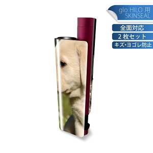 glo HILO plus p fUCXLV[ S 2ZbgtZbg Jo[ P[X ی XebJ[ fR ANZT[ XebJ[ یV[ iĔV[g 002794 @L@@ʐ^