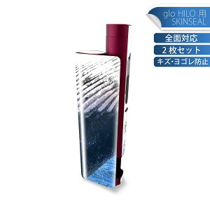 glo HILO plus ��p �f�U�C���X�L���V�[�� �S�� 2���Z�b�g�t���Z�b�g �J�o�[ �P�[�X �ی� �X�e�b�J�[ �f�R �A�N�Z�T���[ �X�e�b�J�[ �ی�V�[�� ���i���Ĕ������V�[�g 023966 ������@�ʐ^�@�C