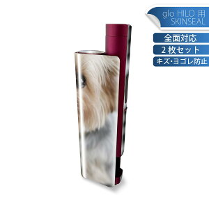 glo HILO plus p fUCXLV[ S 2ZbgtZbg Jo[ P[X ی XebJ[ fR ANZT[ XebJ[ یV[ iĔV[g 004565 @ʐ^@sAm