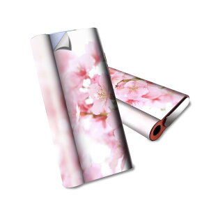 glo hyper air p fUCXLV[ S tZbg Jo[ P[X ی O[ nCp[ GA OE XebJ[ fR ANZT[ dq΂ 000886 