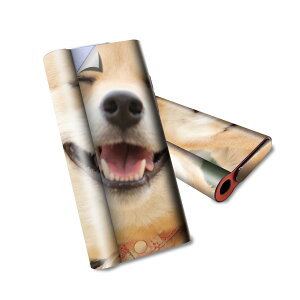 glo hyper air p fUCXLV[ S tZbg Jo[ P[X ی O[ nCp[ GA OE XebJ[ fR ANZT[ dq΂ 000926 @Č