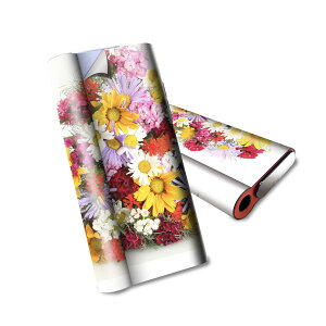 glo hyper air p fUCXLV[ S tZbg Jo[ P[X ی O[ nCp[ GA OE XebJ[ fR ANZT[ dq΂ 000937 ԁ@ԑ