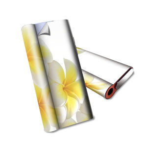 glo hyper air p fUCXLV[ S tZbg Jo[ P[X ی O[ nCp[ GA OE XebJ[ fR ANZT[ dq΂ 001027 ԁ@vA