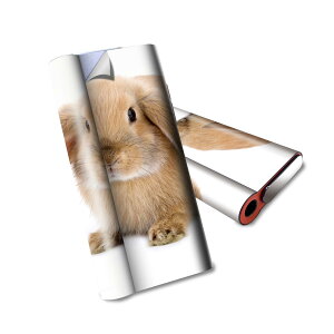 glo hyper air p fUCXLV[ S tZbg Jo[ P[X ی O[ nCp[ GA OE XebJ[ fR ANZT[ dq΂ 001112 @