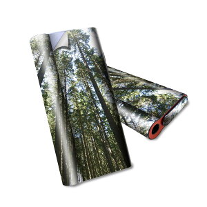 glo hyper air p fUCXLV[ S tZbg Jo[ P[X ی O[ nCp[ GA OE XebJ[ fR ANZT[ dq΂ 002581 iF@i@ʐ^