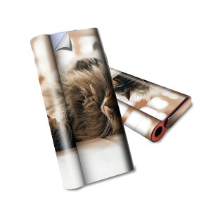 glo hyper air p fUCXLV[ S tZbg Jo[ P[X ی O[ nCp[ GA OE XebJ[ fR ANZT[ dq΂ 002601 L@@ʐ^