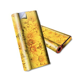 glo hyper air p fUCXLV[ S tZbg Jo[ P[X ی O[ nCp[ GA OE XebJ[ fR ANZT[ dq΂ 002624 ԁ@@F@ʐ^