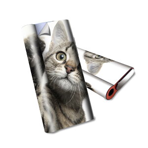 glo hyper air p fUCXLV[ S tZbg Jo[ P[X ی O[ nCp[ GA OE XebJ[ fR ANZT[ dq΂ 002674 L@@ʐ^