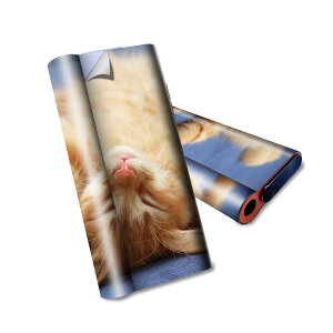 glo hyper air p fUCXLV[ S tZbg Jo[ P[X ی O[ nCp[ GA OE XebJ[ fR ANZT[ dq΂ 002759 L@@ʐ^