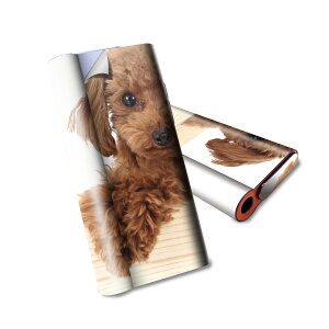 glo hyper air p fUCXLV[ S tZbg Jo[ P[X ی O[ nCp[ GA OE XebJ[ fR ANZT[ dq΂ 002769 @@ʐ^