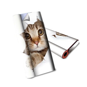 glo hyper air p fUCXLV[ S tZbg Jo[ P[X ی O[ nCp[ GA OE XebJ[ fR ANZT[ dq΂ 002783 L@@ʐ^