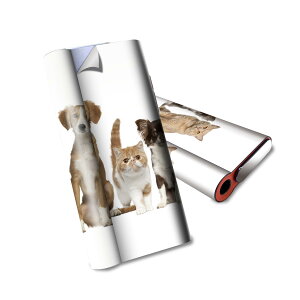 glo hyper air p fUCXLV[ S tZbg Jo[ P[X ی O[ nCp[ GA OE XebJ[ fR ANZT[ dq΂ 002789 @L@@ʐ^