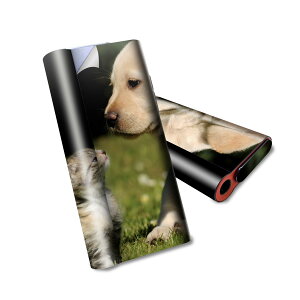 glo hyper air p fUCXLV[ S tZbg Jo[ P[X ی O[ nCp[ GA OE XebJ[ fR ANZT[ dq΂ 002794 @L@@ʐ^