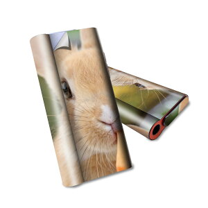 glo hyper air p fUCXLV[ S tZbg Jo[ P[X ی O[ nCp[ GA OE XebJ[ fR ANZT[ dq΂ 002807 @@ʐ^