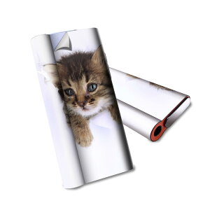 glo hyper air p fUCXLV[ S tZbg Jo[ P[X ی O[ nCp[ GA OE XebJ[ fR ANZT[ dq΂ 002892 L@@ʐ^