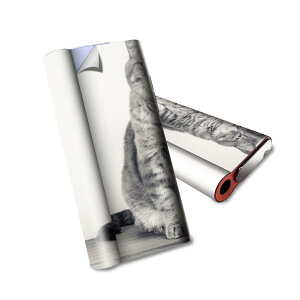 glo hyper air p fUCXLV[ S tZbg Jo[ P[X ی O[ nCp[ GA OE XebJ[ fR ANZT[ dq΂ 002901 L@@ʐ^