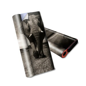 glo hyper air p fUCXLV[ S tZbg Jo[ P[X ی O[ nCp[ GA OE XebJ[ fR ANZT[ dq΂ 023246 ]E@@Aj}