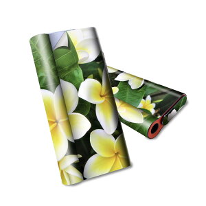 glo hyper air p fUCXLV[ S tZbg Jo[ P[X ی O[ nCp[ GA OE XebJ[ fR ANZT[ dq΂ 023320 ԁ@t[@vA