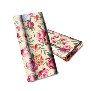 glo hyper air p fUCXLV[ S tZbg Jo[ P[X ی O[ nCp[ GA OE XebJ[ fR ANZT[ dq΂ 004834 KN@ԁ@sN