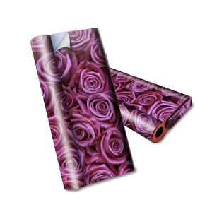 glo hyper air p fUCXLV[ S tZbg Jo[ P[X ی O[ nCp[ GA OE XebJ[ fR ANZT[ dq΂ 005129 KN@@ʐ^