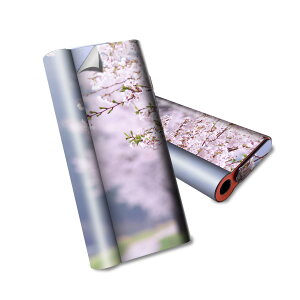 glo hyper air p fUCXLV[ S tZbg Jo[ P[X ی O[ nCp[ GA OE XebJ[ fR ANZT[ dq΂ 005163 ԁ@؁@ʐ^