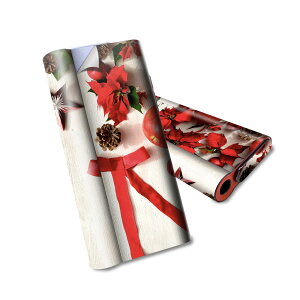 glo hyper air p fUCXLV[ S tZbg Jo[ P[X ی O[ nCp[ GA OE XebJ[ fR ANZT[ dq΂ 005228 NX}X@{@