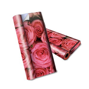 glo hyper air p fUCXLV[ S tZbg Jo[ P[X ی O[ nCp[ GA OE XebJ[ fR ANZT[ dq΂ 005315 ԁ@KN@sN