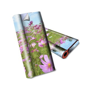 glo hyper air p fUCXLV[ S tZbg Jo[ P[X ی O[ nCp[ GA OE XebJ[ fR ANZT[ dq΂ 005394 ʐ^@ԁ@@