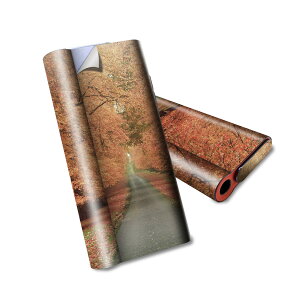 glo hyper air p fUCXLV[ S tZbg Jo[ P[X ی O[ nCp[ GA OE XebJ[ fR ANZT[ dq΂ 005919 ʐ^@H@ؓ