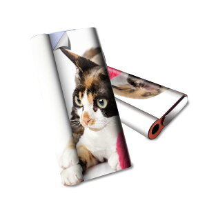 glo hyper air p fUCXLV[ S tZbg Jo[ P[X ی O[ nCp[ GA OE XebJ[ fR ANZT[ dq΂ 005939 Aj} ʐ^@@L@˂