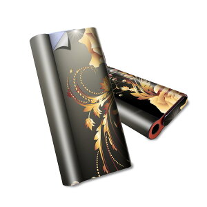 glo hyper air p fUCXLV[ S tZbg Jo[ P[X ی O[ nCp[ GA OE XebJ[ fR ANZT[ dq΂ 005941 