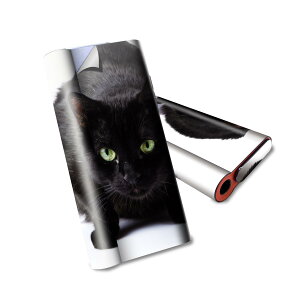 glo hyper air p fUCXLV[ S tZbg Jo[ P[X ی O[ nCp[ GA OE XebJ[ fR ANZT[ dq΂ 005958 Aj} ʐ^@@˂@L