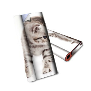 glo hyper air p fUCXLV[ S tZbg Jo[ P[X ی O[ nCp[ GA OE XebJ[ fR ANZT[ dq΂ 006228 ʐ^@lR@˂