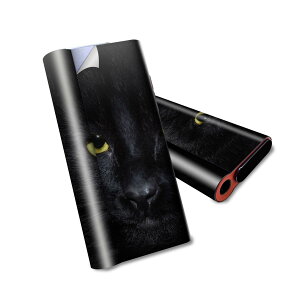 glo hyper air p fUCXLV[ S tZbg Jo[ P[X ی O[ nCp[ GA OE XebJ[ fR ANZT[ dq΂ 006447 ʐ^@L@˂