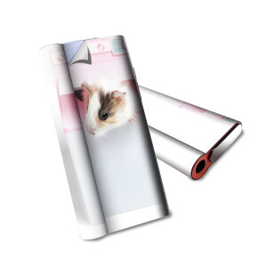 glo hyper air p fUCXLV[ S tZbg Jo[ P[X ی O[ nCp[ GA OE XebJ[ fR ANZT[ dq΂ 006501 Aj} ʐ^@nX^[@