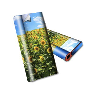 glo hyper air p fUCXLV[ S tZbg Jo[ P[X ی O[ nCp[ GA OE XebJ[ fR ANZT[ dq΂ 007936 ʐ^@ԁ@@@Ђ܂