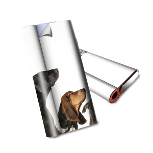 glo hyper air p fUCXLV[ S tZbg Jo[ P[X ی O[ nCp[ GA OE XebJ[ fR ANZT[ dq΂ 008190 ʐ^@@ʁ@@zCg