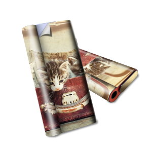 glo hyper air p fUCXLV[ S tZbg Jo[ P[X ی O[ nCp[ GA OE XebJ[ fR ANZT[ dq΂ 008717 ʐ^@L@lR@Jo@